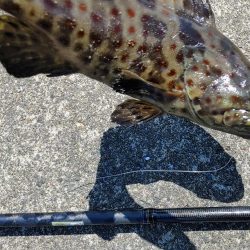 初めて釣った(笑)